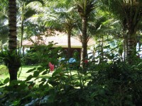 ���� - ����������� �� RCC-TRAVEL.RU