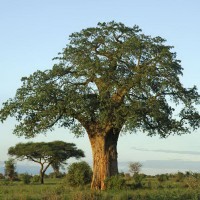 общий вид - фотогалерея на RCC-TRAVEL.RU общий вид - фотогалерея на RCC-TRAVEL.RU