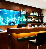 бар - фотогалерея на RCC-TRAVEL.RU бар - фотогалерея на RCC-TRAVEL.RU