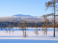 ������� - ����������� �� RCC-TRAVEL.RU