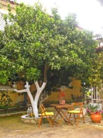 территория отеля - фотогалерея на RCC-TRAVEL.RU территория отеля - фотогалерея на RCC-TRAVEL.RU