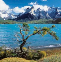 природа - фотогалерея на RCC-TRAVEL.RU природа - фотогалерея на RCC-TRAVEL.RU