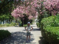  -   RCC-TRAVEL.RU