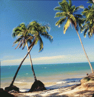 побережье - фотогалерея на RCC-TRAVEL.RU побережье - фотогалерея на RCC-TRAVEL.RU