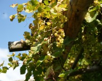 природа - фотогалерея на RCC-TRAVEL.RU природа - фотогалерея на RCC-TRAVEL.RU