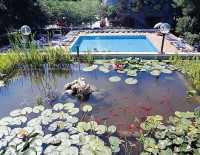 бассейн - фотогалерея на RCC-TRAVEL.RU бассейн - фотогалерея на RCC-TRAVEL.RU