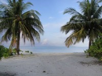  -   RCC-TRAVEL.RU