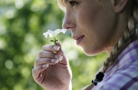 вид - фотогалерея на RCC-TRAVEL.RU вид - фотогалерея на RCC-TRAVEL.RU