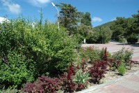 ���������� - ����������� �� RCC-TRAVEL.RU