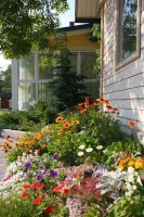 сад - фотогалерея на RCC-TRAVEL.RU сад - фотогалерея на RCC-TRAVEL.RU