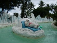 территория - фотогалерея на RCC-TRAVEL.RU территория - фотогалерея на RCC-TRAVEL.RU