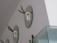 ��� - ����������� �� RCC-TRAVEL.RU