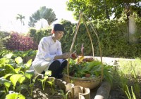 ��� - ����������� �� RCC-TRAVEL.RU