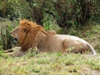 ������� ����� - ����������� �� RCC-TRAVEL.RU