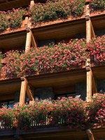 ��� - ����������� �� RCC-TRAVEL.RU