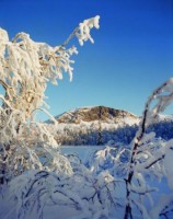 природа - фотогалерея на RCC-TRAVEL.RU природа - фотогалерея на RCC-TRAVEL.RU