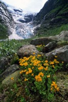 природа - фотогалерея на RCC-TRAVEL.RU природа - фотогалерея на RCC-TRAVEL.RU