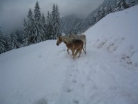 ������� - ����������� �� RCC-TRAVEL.RU