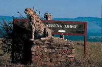 ����� ��� - ����������� �� RCC-TRAVEL.RU