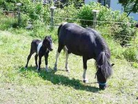 животные - фотогалерея на RCC-TRAVEL.RU животные - фотогалерея на RCC-TRAVEL.RU