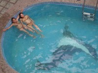 ������� - ����������� �� RCC-TRAVEL.RU