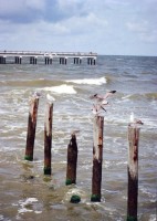 ��� - ����������� �� RCC-TRAVEL.RU