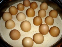 �������� - ����������� �� RCC-TRAVEL.RU