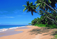 пляж - фотогалерея на RCC-TRAVEL.RU пляж - фотогалерея на RCC-TRAVEL.RU
