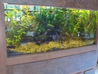 интерьер - фотогалерея на RCC-TRAVEL.RU интерьер - фотогалерея на RCC-TRAVEL.RU