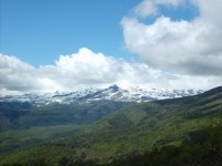  -   RCC-TRAVEL.RU