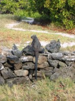 ��� - ����������� �� RCC-TRAVEL.RU