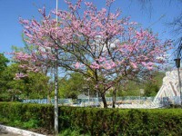 ���������� ��������� - ����������� �� RCC-TRAVEL.RU