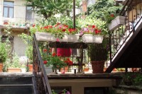 сад - фотогалерея на RCC-TRAVEL.RU сад - фотогалерея на RCC-TRAVEL.RU