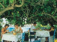 кафе - фотогалерея на RCC-TRAVEL.RU кафе - фотогалерея на RCC-TRAVEL.RU