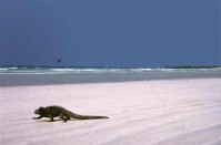 ���� - ����������� �� RCC-TRAVEL.RU