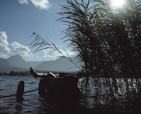 озеро - фотогалерея на RCC-TRAVEL.RU озеро - фотогалерея на RCC-TRAVEL.RU