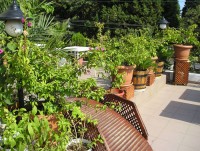 сад - фотогалерея на RCC-TRAVEL.RU сад - фотогалерея на RCC-TRAVEL.RU