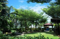 парк - фотогалерея на RCC-TRAVEL.RU парк - фотогалерея на RCC-TRAVEL.RU