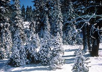 ������� - ����������� �� RCC-TRAVEL.RU