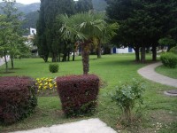 территория отеля - фотогалерея на RCC-TRAVEL.RU территория отеля - фотогалерея на RCC-TRAVEL.RU