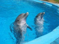 ����������� - ����������� �� RCC-TRAVEL.RU