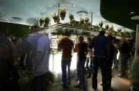 бар - фотогалерея на RCC-TRAVEL.RU бар - фотогалерея на RCC-TRAVEL.RU