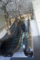 вид - фотогалерея на RCC-TRAVEL.RU вид - фотогалерея на RCC-TRAVEL.RU