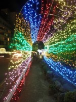 территория - фотогалерея на RCC-TRAVEL.RU территория - фотогалерея на RCC-TRAVEL.RU