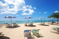 лежаки - фотогалерея на RCC-TRAVEL.RU лежаки - фотогалерея на RCC-TRAVEL.RU