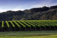 вид - фотогалерея на RCC-TRAVEL.RU вид - фотогалерея на RCC-TRAVEL.RU