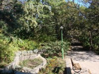 ���� - ����������� �� RCC-TRAVEL.RU