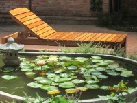 лежаки - фотогалерея на RCC-TRAVEL.RU лежаки - фотогалерея на RCC-TRAVEL.RU