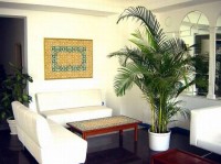 лобби - фотогалерея на RCC-TRAVEL.RU лобби - фотогалерея на RCC-TRAVEL.RU