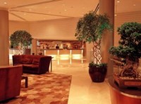  -   RCC-TRAVEL.RU